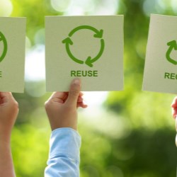 Advancing Sustainability in Cosmetic Packaging